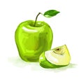Apple Vector illustration hand drawn painted Royalty Free Stock Photo