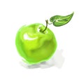 Apple Vector illustration hand drawn painted Royalty Free Stock Photo