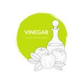 Apple Vinegar Banner or Card Template, Glass bottle and Fresh Apples, Condiment, Food Dressing Hand Drawn Vector