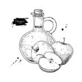 Apple vinegar vector drawing. Hand drawn illustration. Glass bo