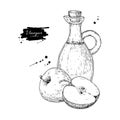 Apple vinegar vector drawing. Hand drawn illustration. Glass bo