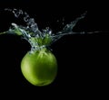 Apple with water splash isolated Royalty Free Stock Photo