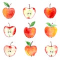 Apple watercolor pattern