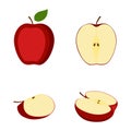 Apple, whole fruit, halves and slice, vector illustration