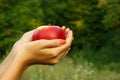 Apple in woman's hands