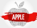 Apple word cloud Royalty Free Stock Photo