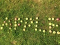 Apple word. the letters are lined with apples in red, green and yellow. unusual inscription on the grass. the edible word apple.