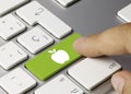 Apple - Inscription on Green Keyboard Key Royalty Free Stock Photo