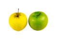 Apple yellow green stand light lanch on a white background Royalty Free Stock Photo