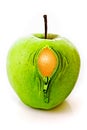 Apple with zipper Royalty Free Stock Photo