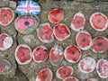 APPLEDORE, DEVON, ENGLAND - APRIL 2 2022: Outside St Marys parish church. Painted poppy pebbles, war remembrance.