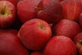 Apples Royalty Free Stock Photo