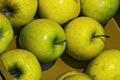 Fresh harvested green apples Royalty Free Stock Photo