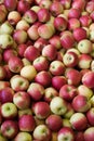 Apples Royalty Free Stock Photo