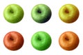 Apples (6 different colour)