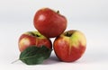 Apples Royalty Free Stock Photo