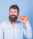 Apples antioxidant compounds responsible health benefits. Nutritional choice. Man with beard hipster hold apple fruit in