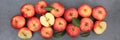 Apples apple fruit fruits banner slate red top view Royalty Free Stock Photo