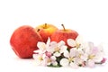 Apples and apple-tree blossoms Royalty Free Stock Photo