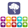 Apples on apple tree branches icons set Royalty Free Stock Photo