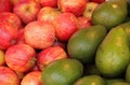 Apples and avocadoes Royalty Free Stock Photo