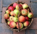 Apples Royalty Free Stock Photo