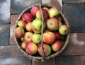 Apples Royalty Free Stock Photo