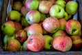 Apples in basket