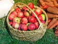 The apples in the basket are sold at the fair. Royalty Free Stock Photo