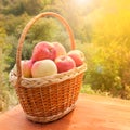 Apples in a basket on wooden table against garden background