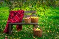 Apples in baskets, red banket on wooden bench in an apple orchard on an autumn day