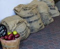 Apples & Burlap Sacks Royalty Free Stock Photo