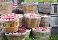 Apples in bushels Royalty Free Stock Photo