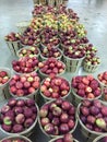 Apples in bushels at an orchard Royalty Free Stock Photo