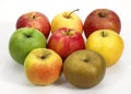 Apples, Calville, Canada, Golden, Granny Smith, Pink Lady, Royal Gala and Starling Royalty Free Stock Photo