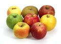 Apples, Calville, Canada, Golden, Granny Smith, Pink Lady, Royal Gala, Starling, malus domestica Royalty Free Stock Photo