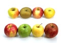 Apples, Calville, Canada, Golden, Granny Smith, Pink Lady, Royal Gala, Starling, malus domestica Royalty Free Stock Photo