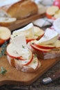Apples and Camembert cheese bread toast. Healthy savory sandwich Royalty Free Stock Photo