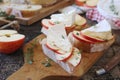 Apples and Camembert cheese bread toast. Healthy savory sandwich