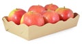 Apples in a cardboard box on white background