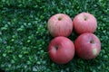 Apples.closed up at apples on green background