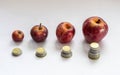 Apples and coins in accending order symbolizing the financial growth