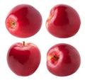 Apples collection. Four whole red, pink apple fruit isolated on white background.