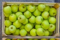 Apples crate Royalty Free Stock Photo