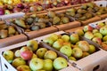 Apples at Detering Farm in Eugene Oregon