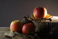 APPLES WITH DRY MATERIAL AND SIDE LIGHT AND DRY POMEGRANATES