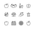 Apples flat line icons. Apple picking, autumn harvest festival, craft fruit cider illustrations. Thin signs for organic Royalty Free Stock Photo