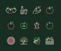 Apples flat line icons. Apple picking, autumn harvest festival, craft fruit cider illustrations. Thin signs for organic Royalty Free Stock Photo