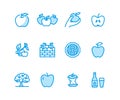 Apples flat line icons. Apple picking, autumn harvest festival, craft fruit cider vector illustrations. Thin signs for Royalty Free Stock Photo