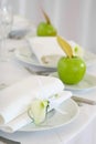 apples and flower on plates Royalty Free Stock Photo